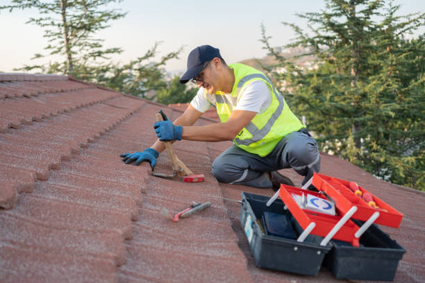 Best Roof Maintenance Services  in Weyers Cave, VA